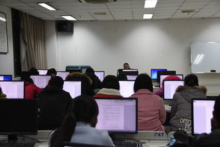 橡树林成才计划 以计算机技能培训为核心的提升模块